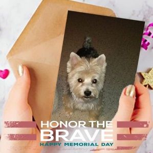 Meet your Posher, Carol